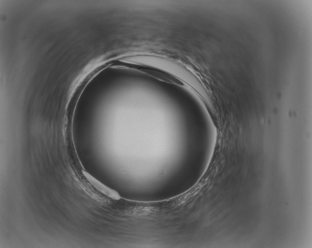 X0000085830152200703301628