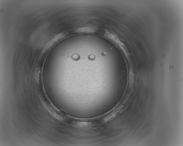 X0000085830153200703301628