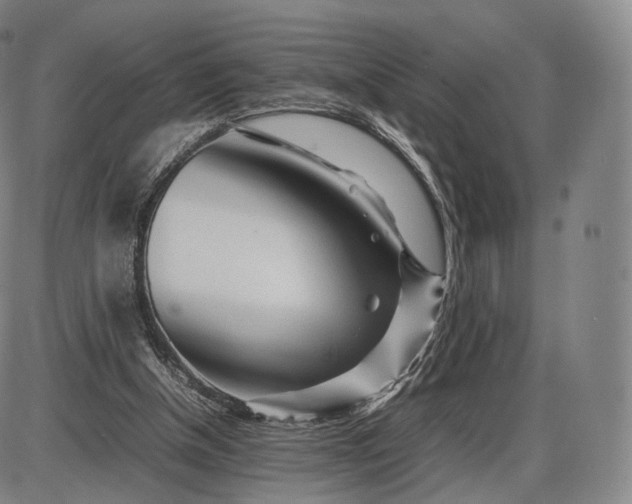 X0000085830154200703301628