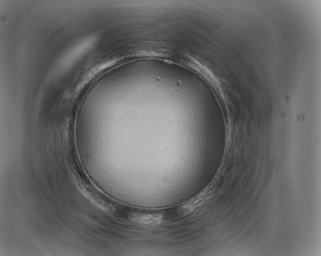 X0000085830155200703301628