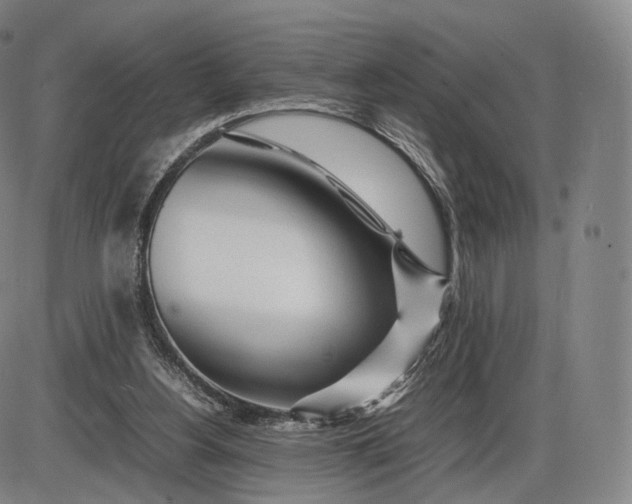 X0000085830156200703301628