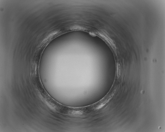 X0000085830157200703301628