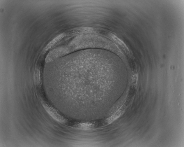 X0000085830158200703301628