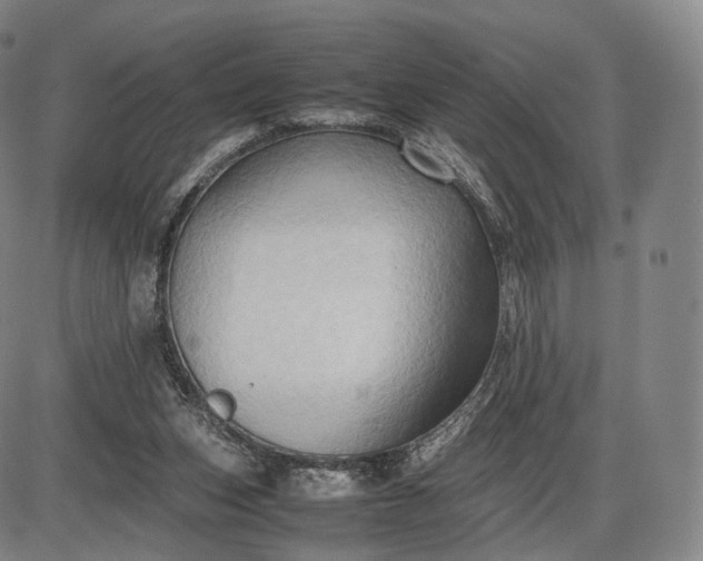 X0000085830159200703301628