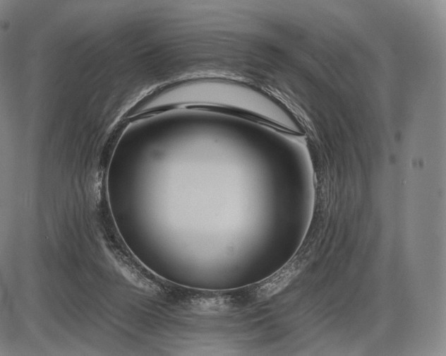 X0000085830160200703301628