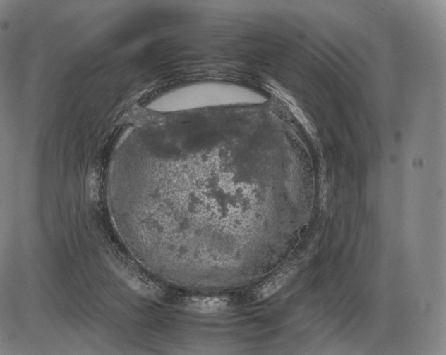 X0000085830161200703301628