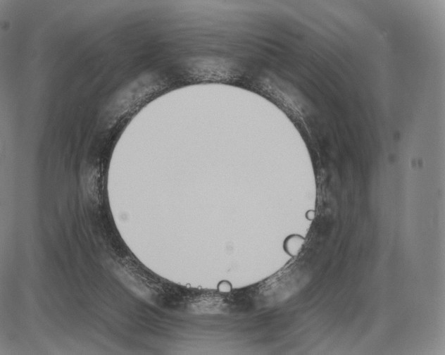 X0000085830162200703301628