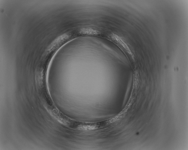 X0000085830163200703301628