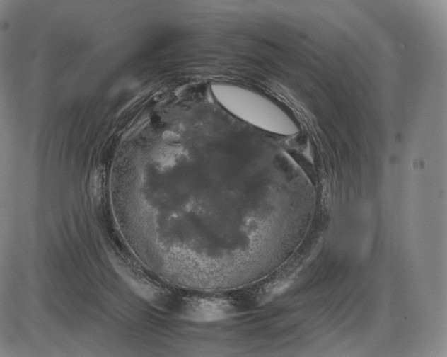 X0000085830165200703301628