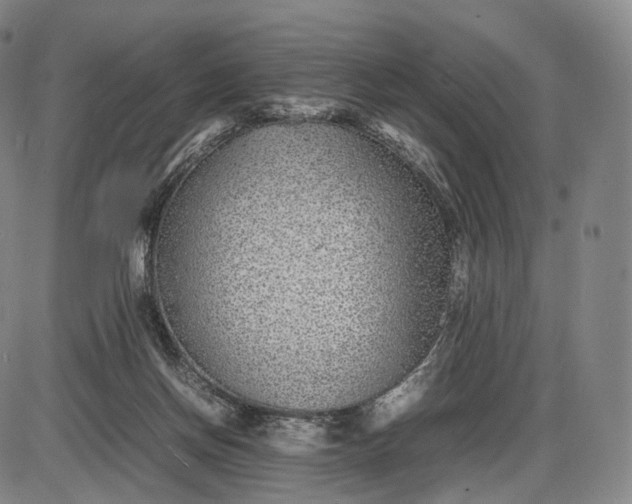 X0000085830166200703301628