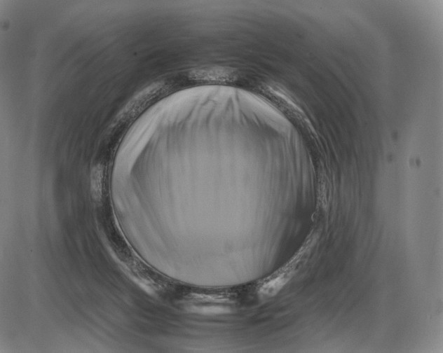 X0000085830167200703301628