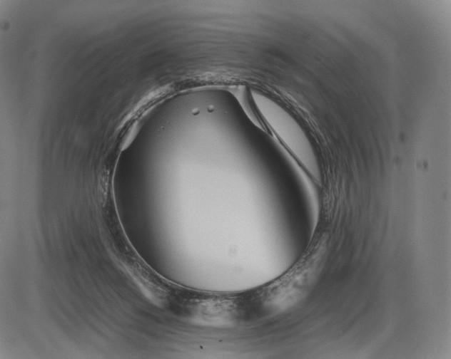 X0000085830168200703301628