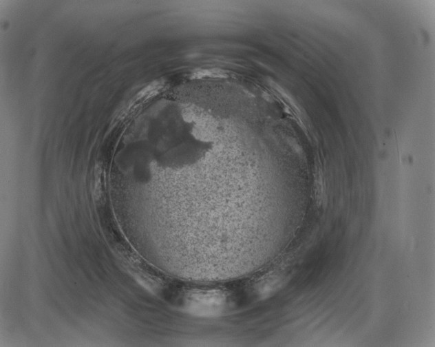 X0000085830169200703301628