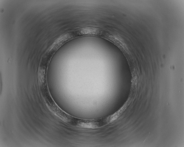 X0000085830171200703301628