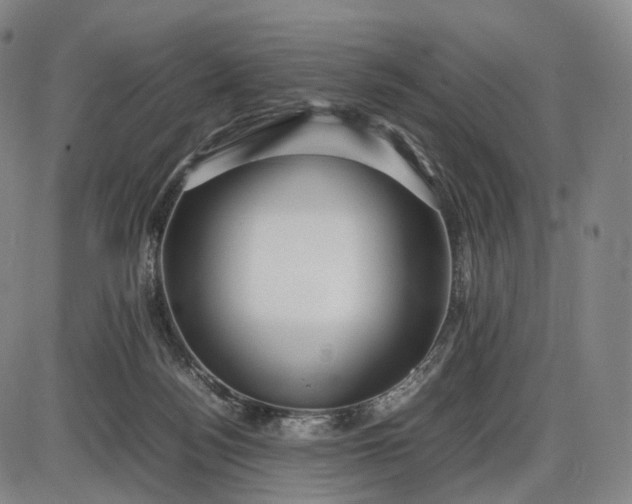 X0000085830172200703301628