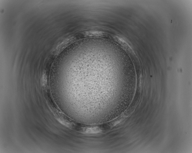 X0000085830173200703301628