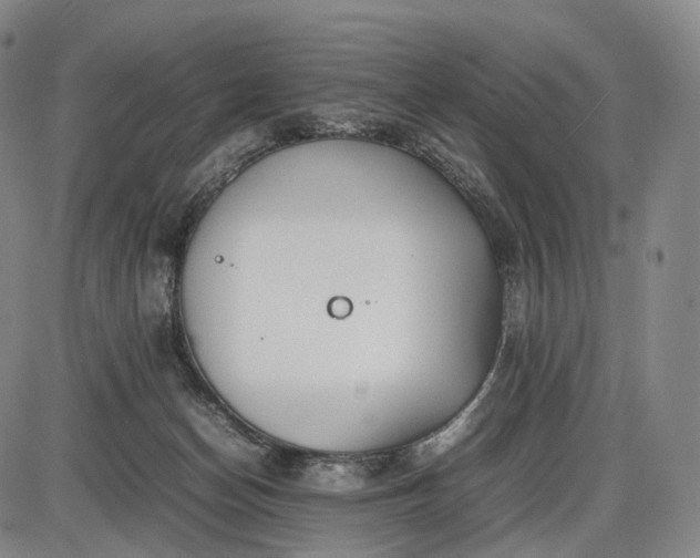 X0000085830174200703301628