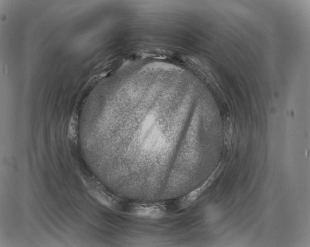 X0000085830175200703301628