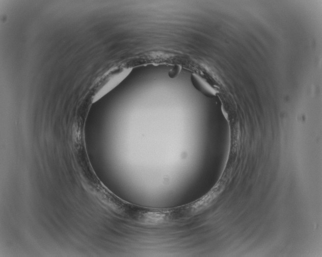 X0000085830176200703301628