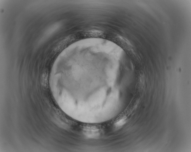 X0000085830177200703301628