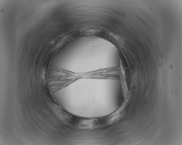 X0000085830178200703301628