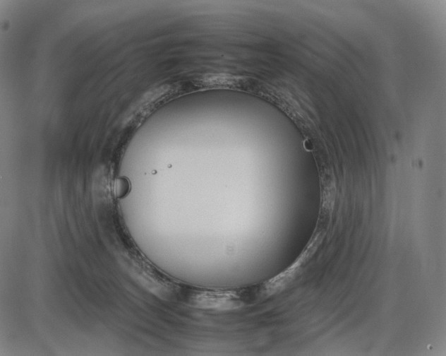 X0000085830179200703301628