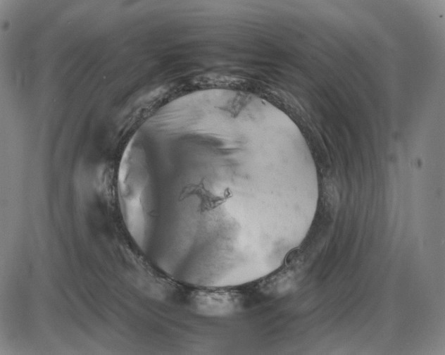 X0000085830181200703301628