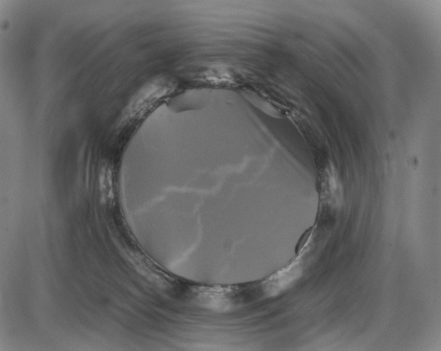 X0000085830182200703301628