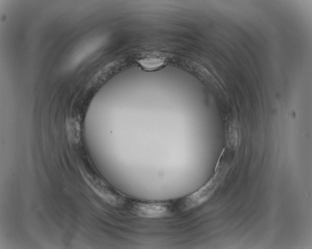 X0000085830183200703301629