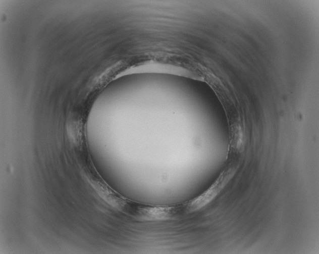 X0000085830184200703301629