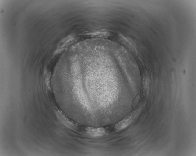 X0000085830185200703301629