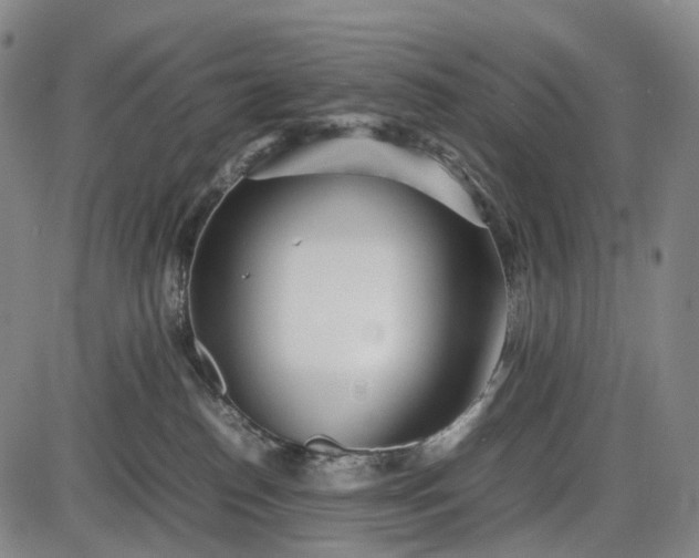 X0000085830186200703301629