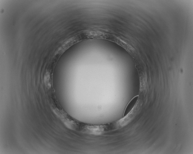 X0000085830187200703301629