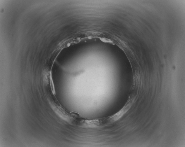 X0000085830188200703301629