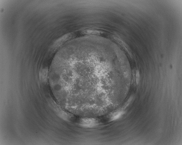 X0000085830189200703301629