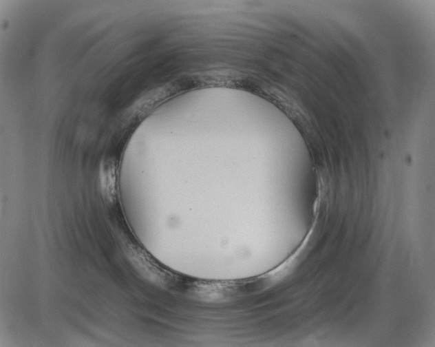 X0000085830190200703301629