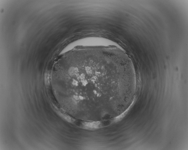 X0000085830191200703301629