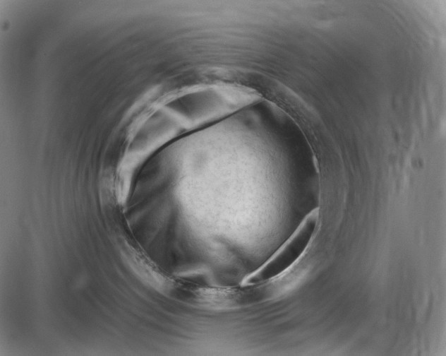 X0000085830192200703301629