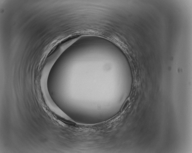 X0000085830193200703301628