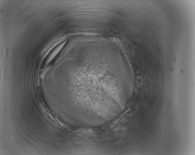 X0000085830194200703301628