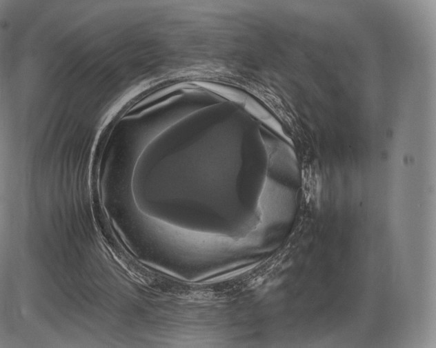 X0000085830196200703301628