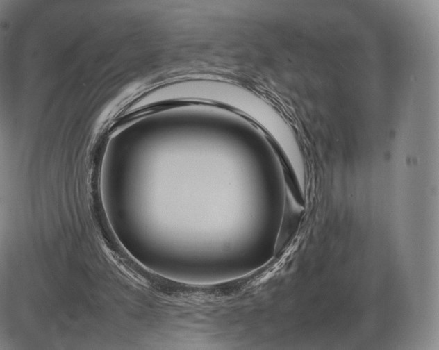 X0000085830197200703301628