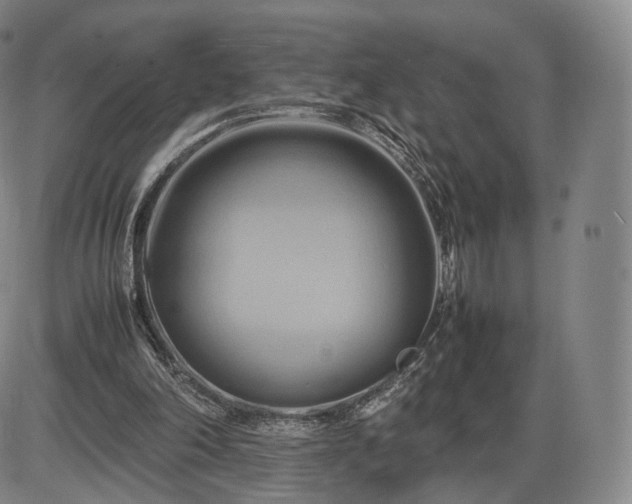 X0000085830198200703301628