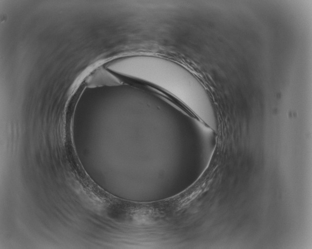 X0000085830200200703301628