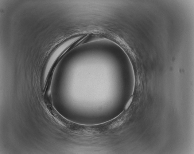 X0000085830201200703301628