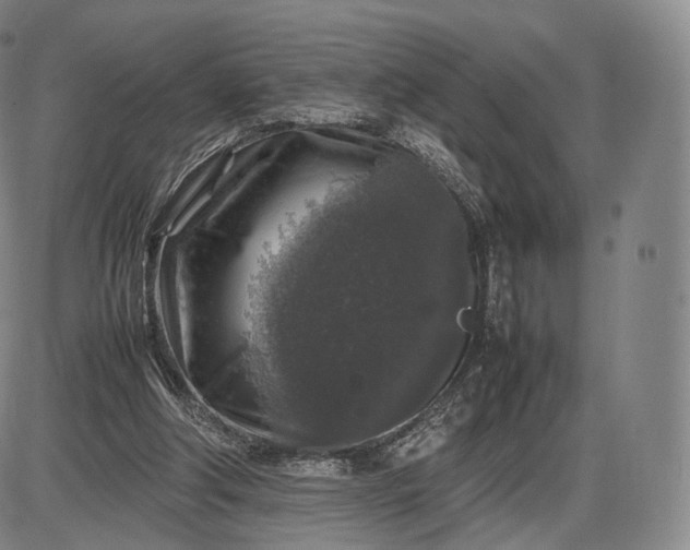 X0000085830202200703301628