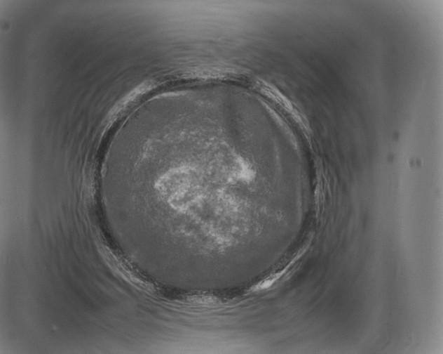 X0000085830203200703301628