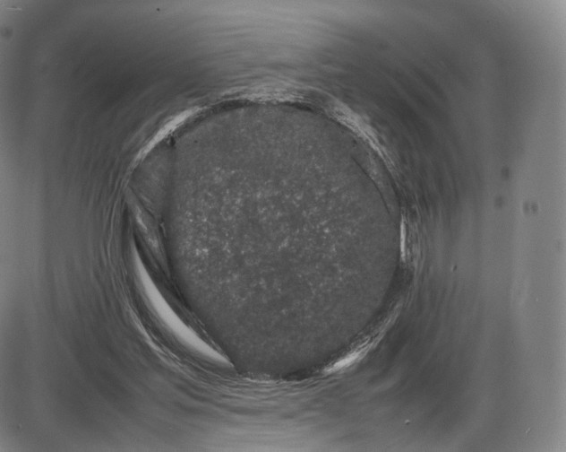 X0000085830205200703301628