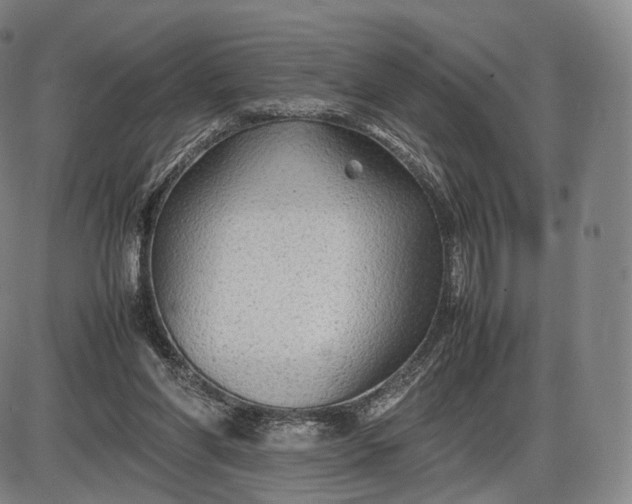 X0000085830206200703301628