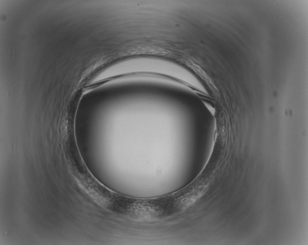 X0000085830207200703301628